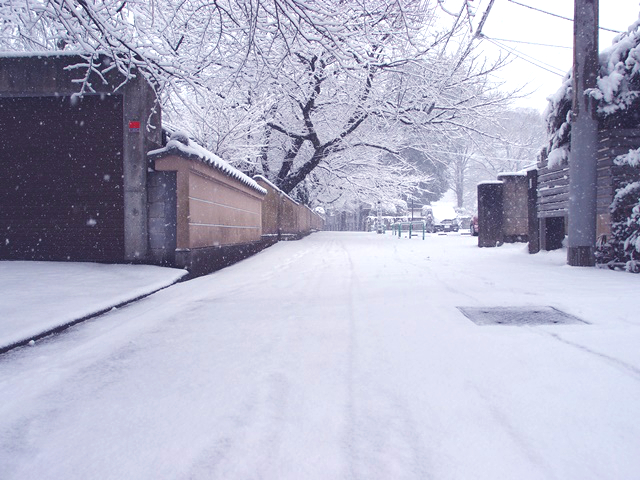 小江戸 川越の雪景色。そして翌日の風景と市民による雪作品たち