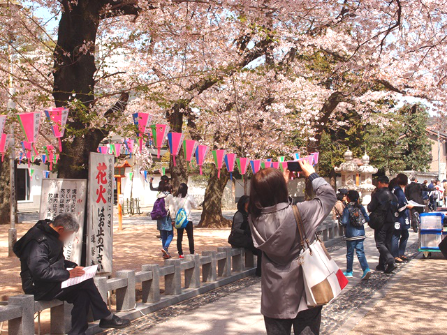 春の訪れを盛大に祝う！小江戸川越春まつりオープニングイベント編