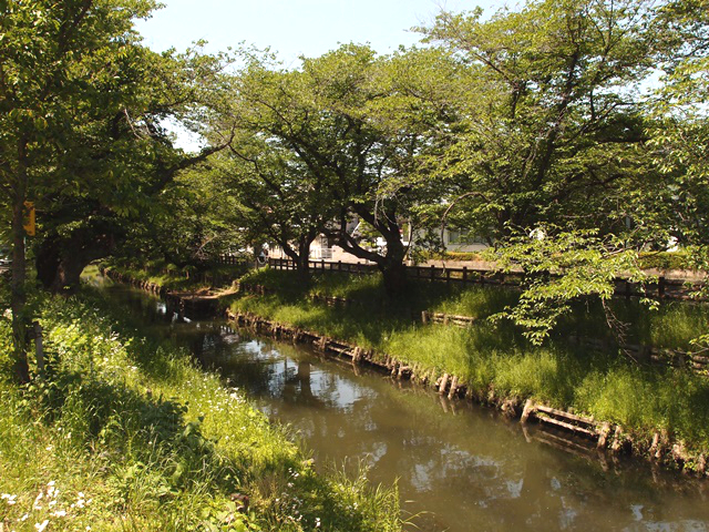 新緑の川越　活気溢れる初夏の小江戸散策のススメ