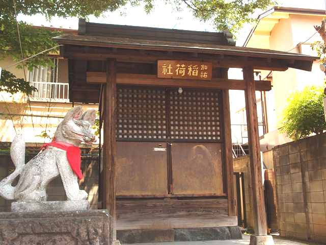 川越熊野神社は注目スポットいっぱい！100％楽しむためのポイント
