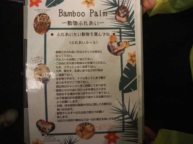 川越・Bamboo Palm(バンブーパーム)で動物とふれあい＆バーベキュー！