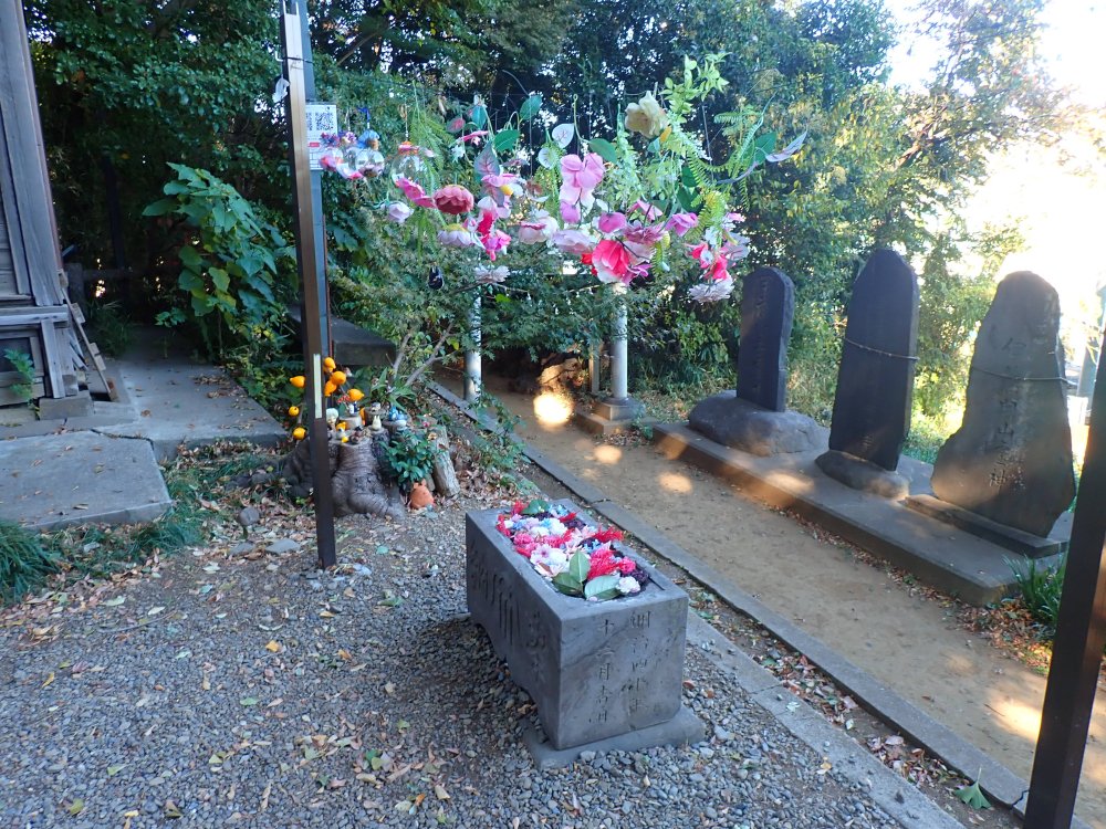 川越で紅葉スポットめぐり|見頃は11月中旬以降!紅葉狩り写真まとめ