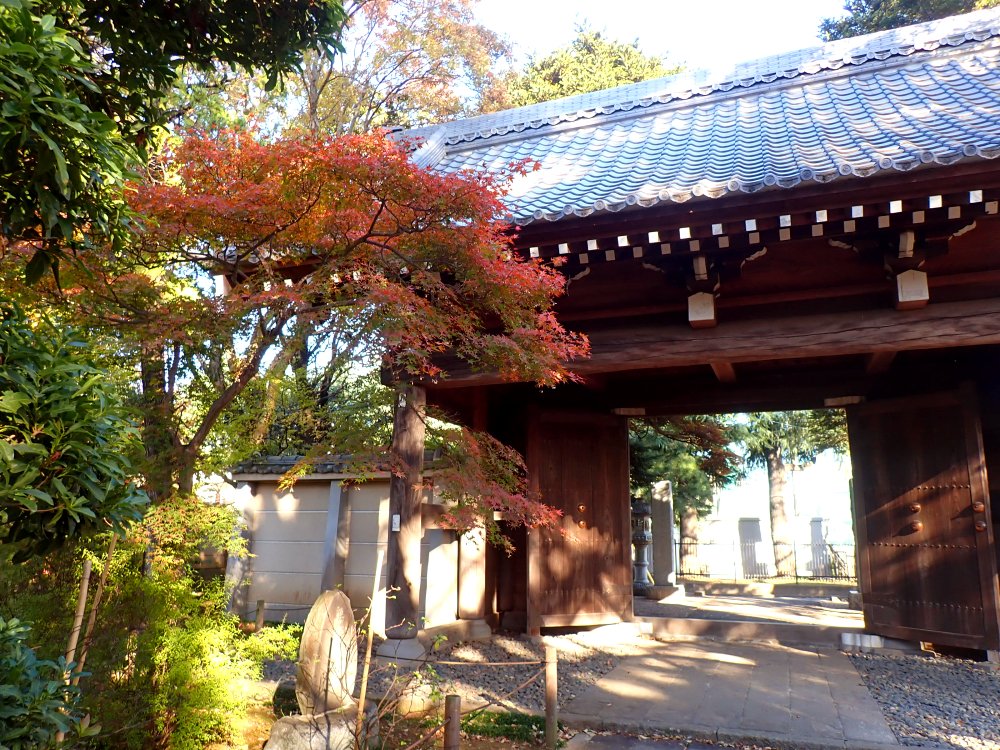 川越で紅葉スポットめぐり|見頃は11月中旬以降!紅葉狩り写真まとめ