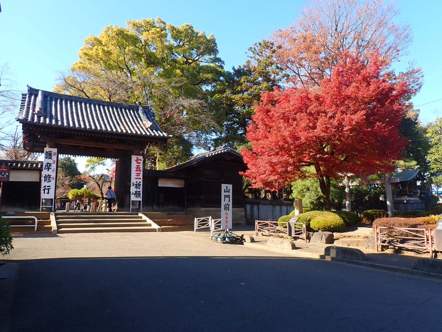 川越で紅葉スポットめぐり|見頃は11月中旬以降!紅葉狩り写真まとめ