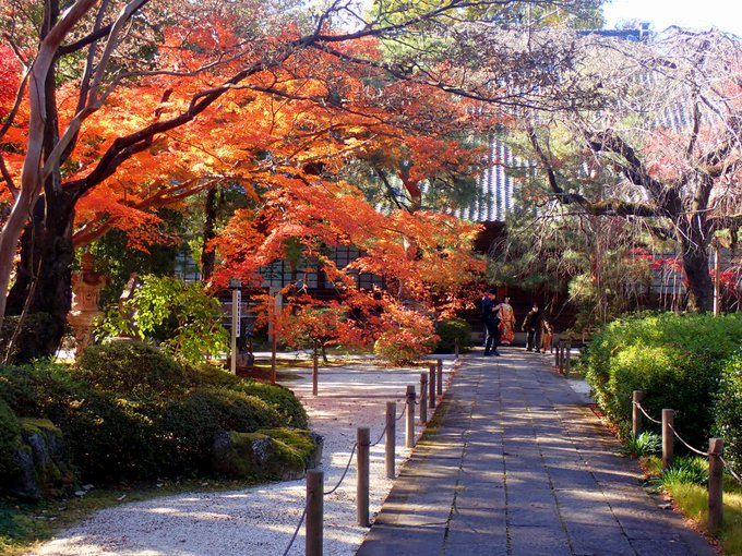 川越で紅葉スポットめぐり|見頃は11月中旬以降!紅葉狩り写真まとめ